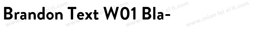 Brandon Text W01 Bla字体转换